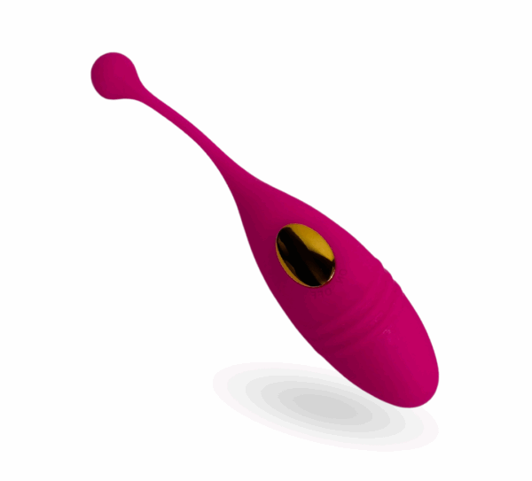 REMOTE CONTROL VIBRATING EGG
